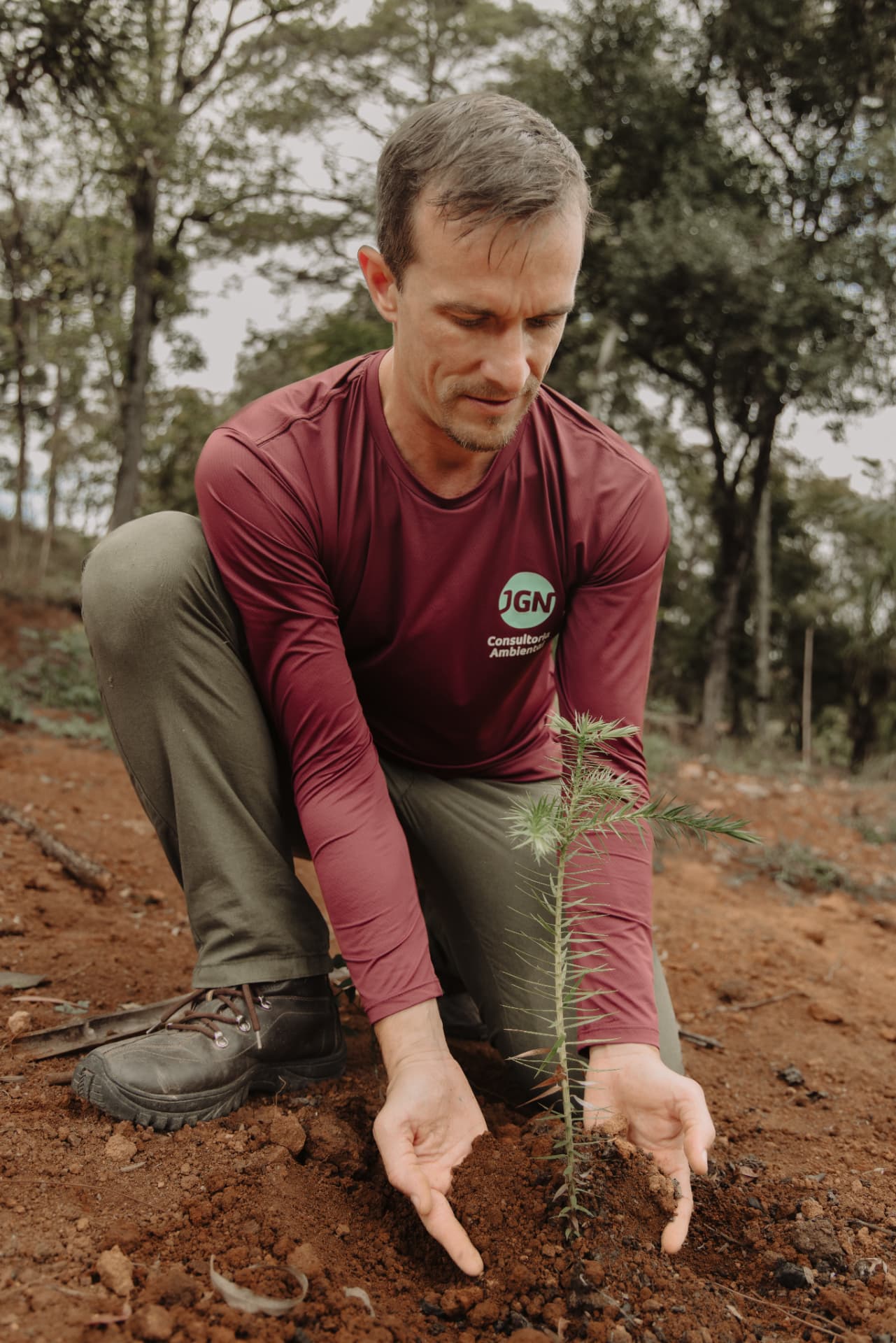 Engenheiro florestal da JGN plantando muda nativa em área de recuperação ambiental